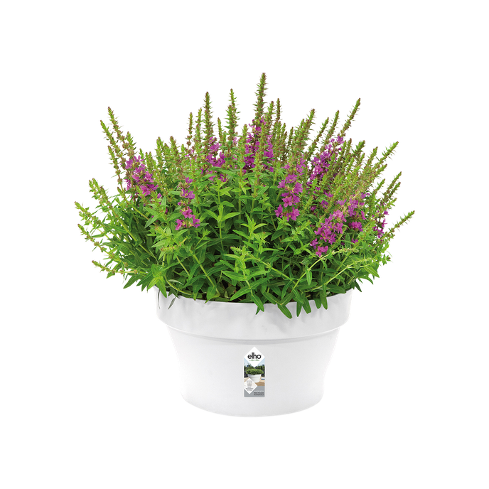 loft urban coupe 35cm blanc